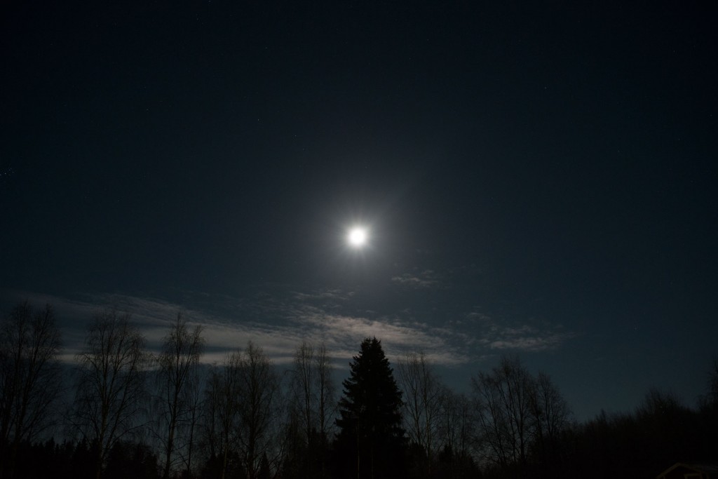 Foto och Copyright: Lars Nilsson